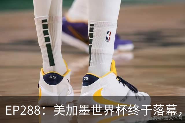 EP288：美加墨世界杯终于落幕，在你心中谁夯爆了谁拉完了？